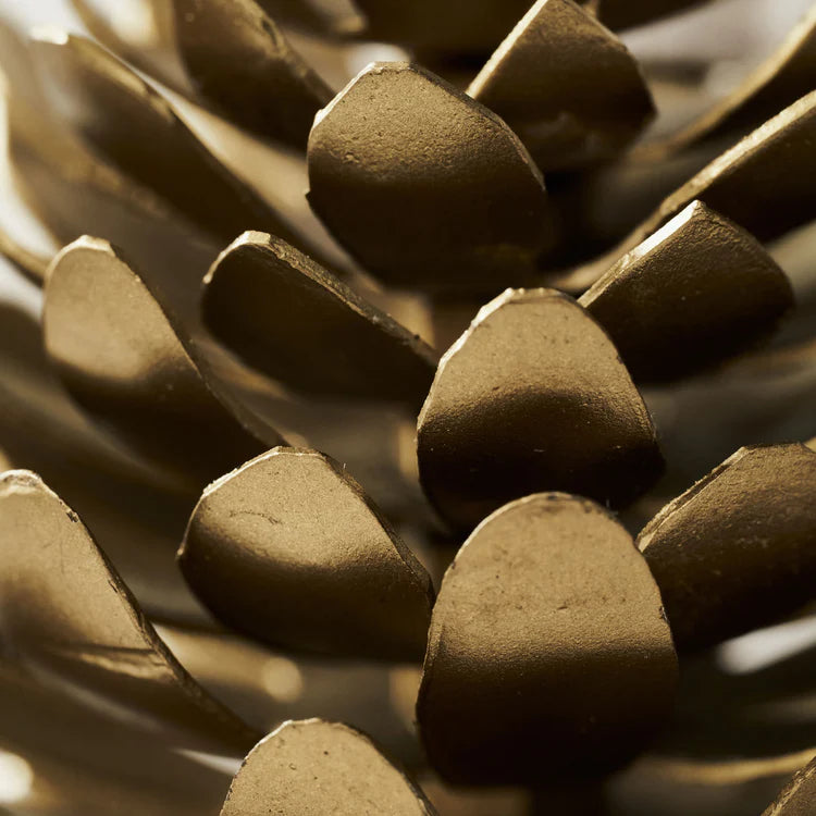 Okrasni storž za listek z imenom Pine